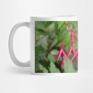 Red fuchsia flowers with leaves in the background Mug